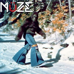 MüZE -Deep Melodic Techno