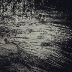 eelgrass