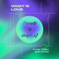 What Is Love (Funk Tribu Edit 2k23)
