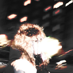 Shoot First - maajins