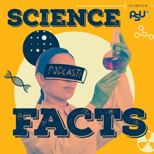Stream episode Science Facts EP.1 ทำความเข้าใจ ไมโทคอนเดรีย DNA ตัวแปร ...