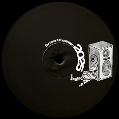 AND2 & Fullertones - Anti-Dust Dub