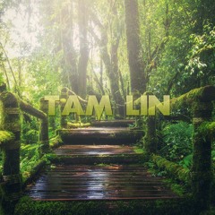 Tam Lin - Royalty Free Fantasy Music (Free Download)