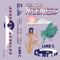 Feel the Niceness — an All-Originals Mix for Jungles