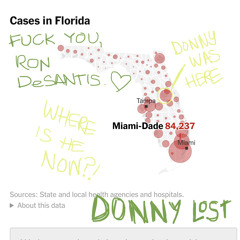 Bangin' Florida (Fuck a Confession)