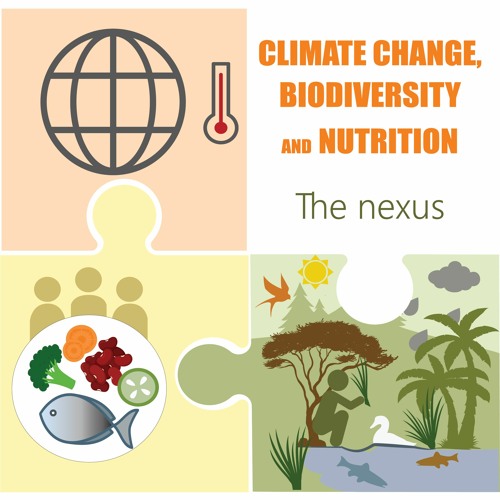 Stream FAO | Listen To Climate Change, Biodiversity And Nutrition – The ...