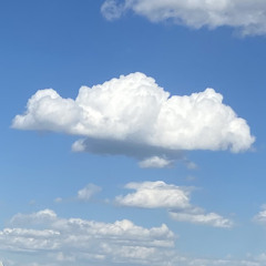 butterflies (bedroom demo)