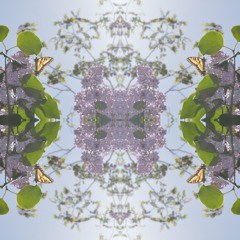 Grateful To Grow (Prod. by Luchador)