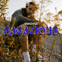 Sagacious (prod. Red's Corner)