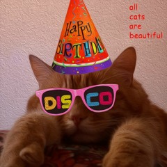 ❣ღ🧡 abricot 🧡ღ❣