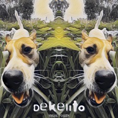 Visual Cortex - Dekelito