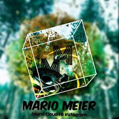 MarioMeier Secret Festival Heicher