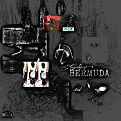 DONT WASTE YO BREATH (the one)