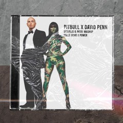 Calle Ocho x Power - Pitbull x David Penn (OTTERLEI & PATAY 2020 VIP Mashup)