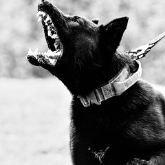 main protagonist ft. Twilly TBB3