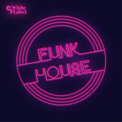 DJ FABZIE UK FUNKY 2010
