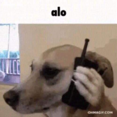 BAND4BAND ARAB BRAZIL OHIO BLA BLA USE USA LEWLK TYPE BEAT