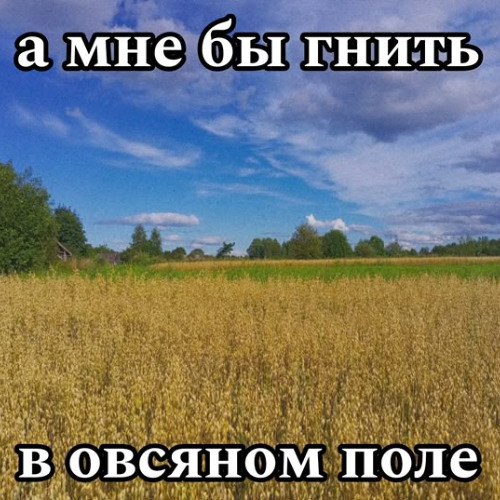 avoiding my name prod. Morion team