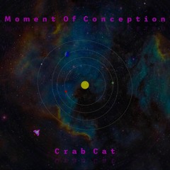 Moment Of Conception - Crab Cat