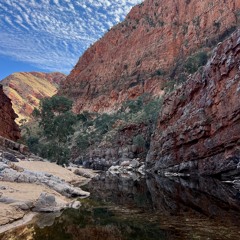 Kwarta Tuma birds in the gorge
