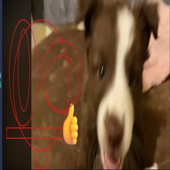 imove like this w ocelot
