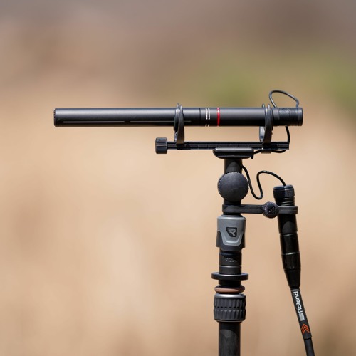 Rycote HC22 Demo Recorded In Kenya
