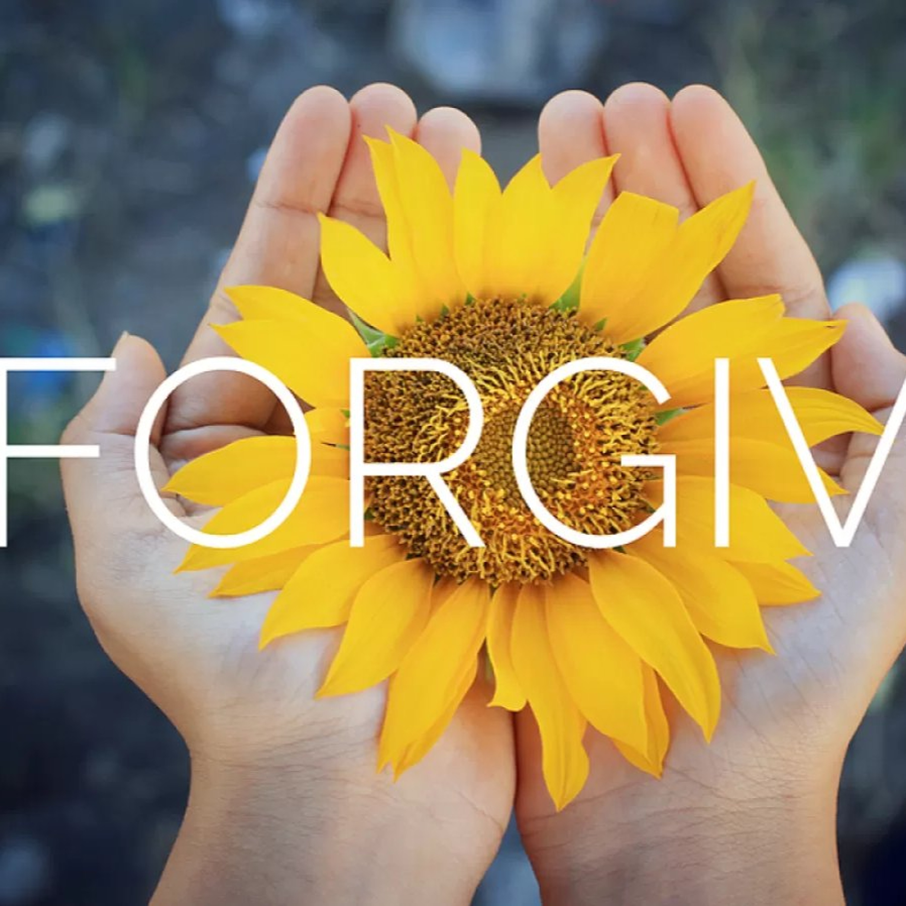 Forgive episode artwork
