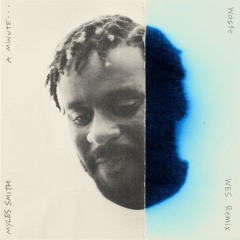 Waste (WES. Remix)