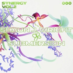 Shaun J. Wright - Submersion