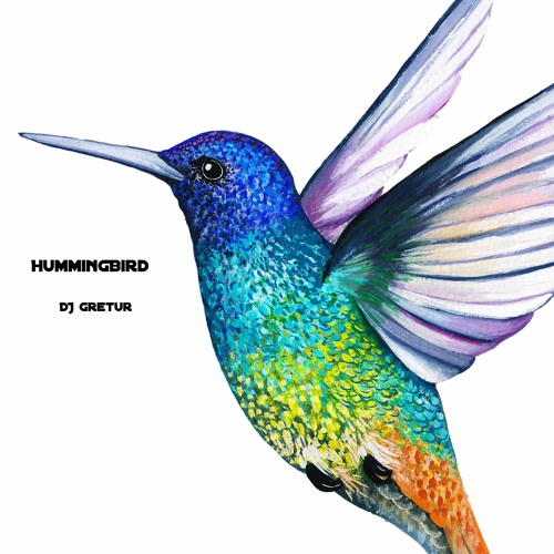 Stream Hummingbird by DJ Gretur | Listen online for free on SoundCloud