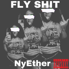 Fly Shit