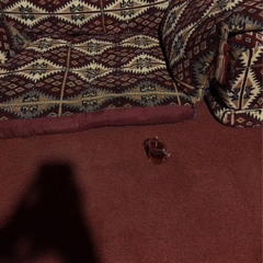 مرةٍ اشلا ، ومُر يعاودني بلاي :(