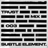 Télécharger la video: Subtle Element - Trust Audio Mix