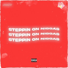 Steppin On Niggas