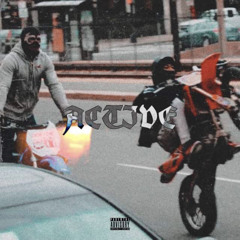 K9 x PHOENIXX - ACTIVE