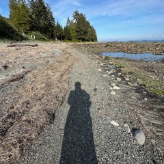 Mussel Beach- Barkley Sound- Listening to the other side of the Pacific