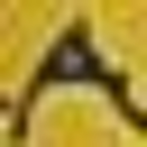 02 ~ NOD SQWAD ~ Galapagos