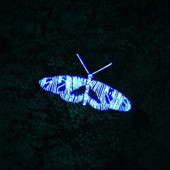 *FREE* TRAP 🎤 TYPE BEAT - "BUTTERFLY" 🦋 [BPM: 140] (prod. Natalshee_)