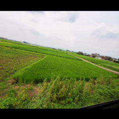 電車の窓からカバー 02/04/24