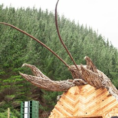 Conscious Comfort - Twisted Frequency 2024