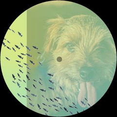 Matt Champion - Dogfish (KRID bootleg) [free DL]