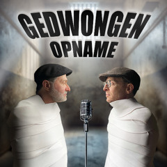De eerste aflevering (pilot)