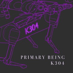 Primary Being - K304 [LTBGY Premiere]