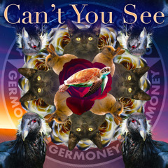 Can't You See (prod. Nanzoo)