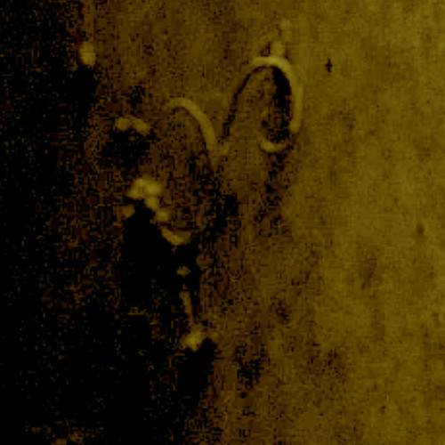The Host