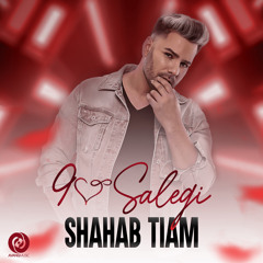 90 Salegi