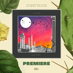 PREMIERE: Joe Morris -  Acid Safari (Man Power Acid Jungle Remix) [Shades Of Sound]