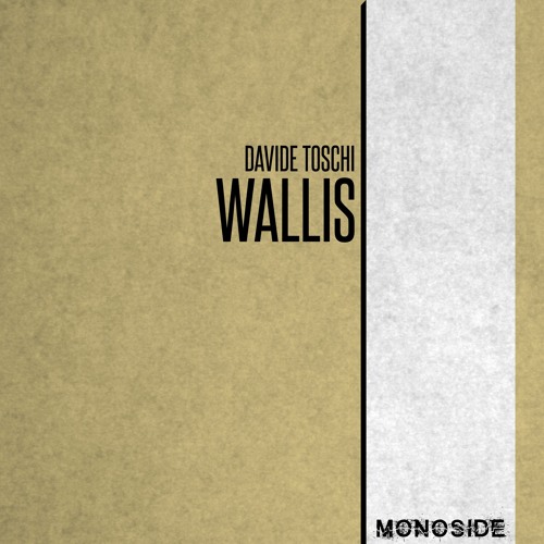 Davide Toschi - WALLIS // MS264