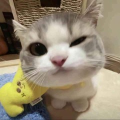 Dù cho tận thế - Toann Remix.mp3