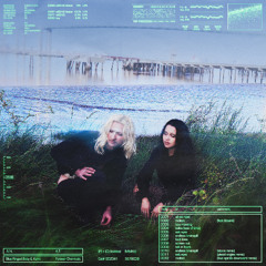 Blue Ringed Baby and Kamī - CPU Maxxing